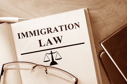 immigration law books